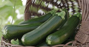 Des courgettes à foison tout l’été avec un seul plant ? Le secret d’une taille et d’un entretien optimisés Des courgettes à foison tout l’été avec un seul plant ? Le secret d’une taille et d’un entretien optimisés