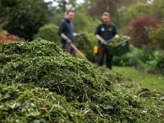 Le secret des paysagistes pour un broyat de feuilles qui se transforme en compost en un temps record Le secret des paysagistes pour un broyat de feuilles qui se transforme en compost en un temps record