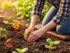 « C’est le mois idéal » : les légumes à planter avant fin avril pour préserver vos récoltes d’été « C'est le mois idéal » : les légumes à planter avant fin avril pour préserver vos récoltes d'été